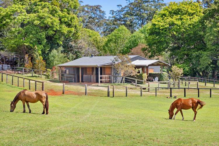 204 Main Western Road Tamborine Mountain_4