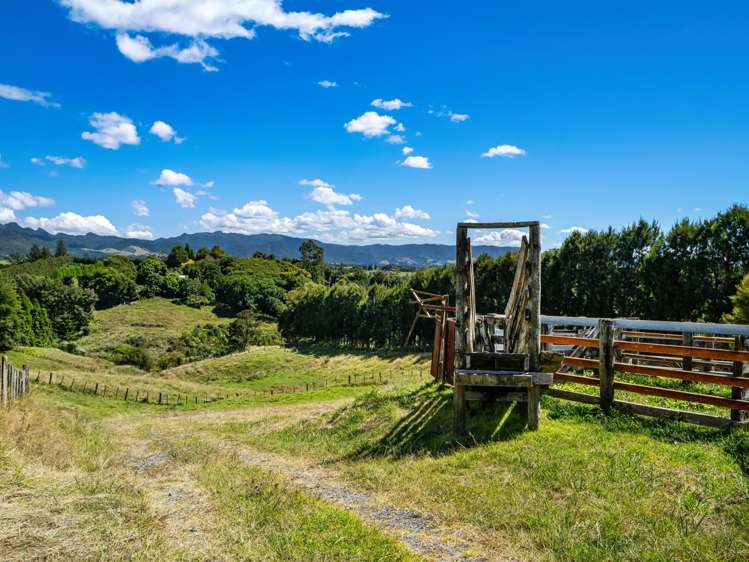 8 Pine Ridge Lane Aongatete_44