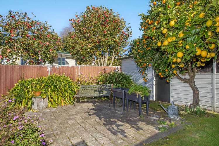 31 Marian Drive Inner Kaiti_17