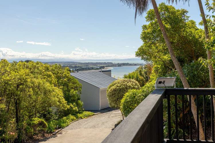 106 Soleares Avenue Mount Pleasant_24