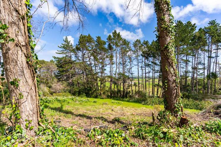 5A Pirika Street Dargaville_44