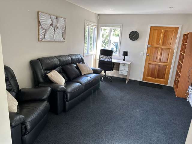 18 Lower Watt Street Wadestown_1