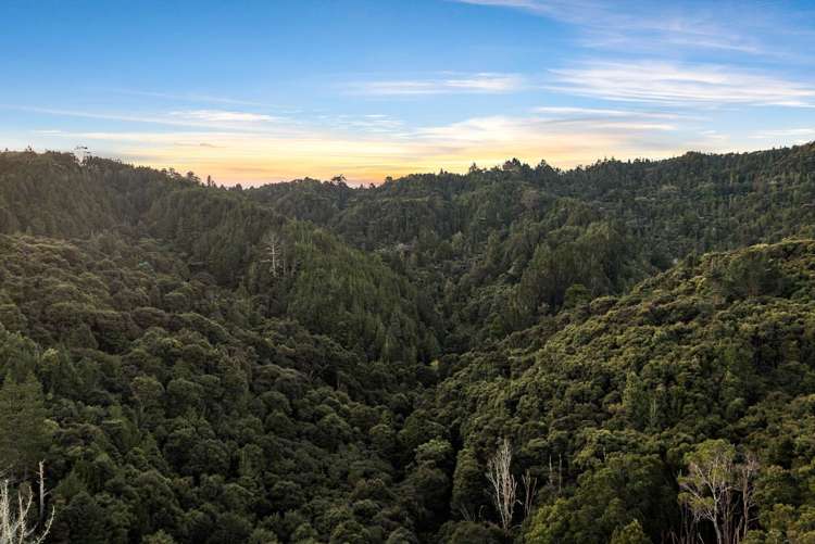 320 Upper Waiwera Road Puhoi_39