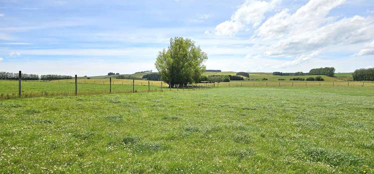 391A Otama Road Otama_18