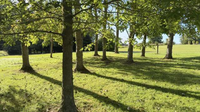 Lot Lot 2/55 Three Oaks Drive Dairy Flat_2