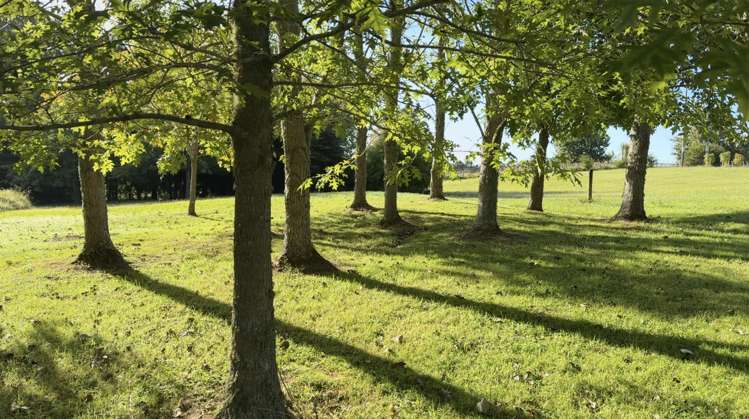 Lot Lot 2/55 Three Oaks Drive Dairy Flat_2