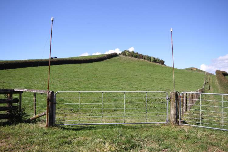 188 Waitawheta Road Waikino_15