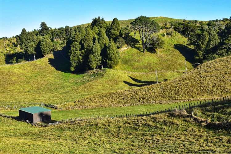 Lot 5/80 Ruatuna Road Waiotahi_5
