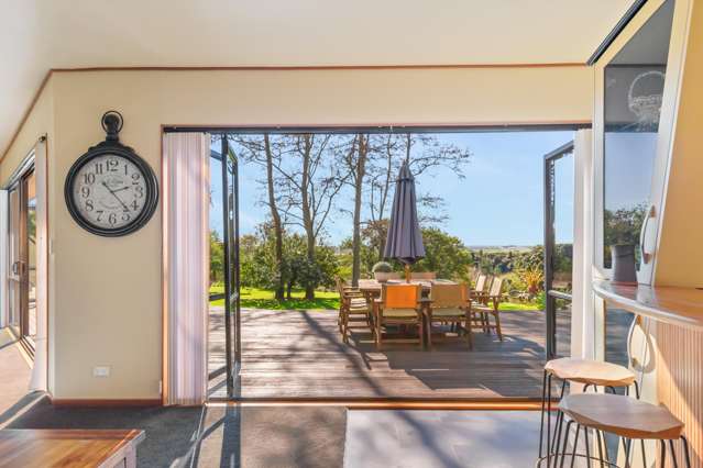 1205 State Highway 57 Levin_1