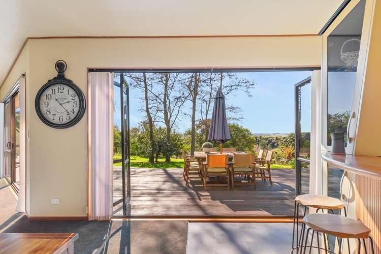 1205 State Highway 57 Levin_1