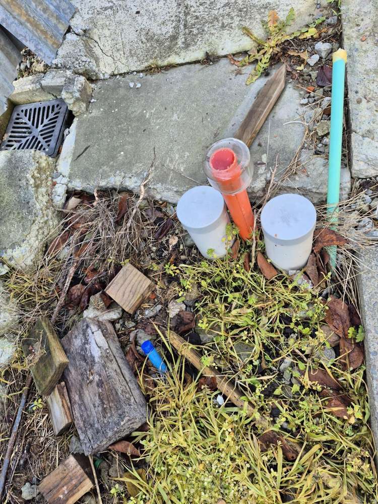 236a Tremaine Avenue Highbury_6