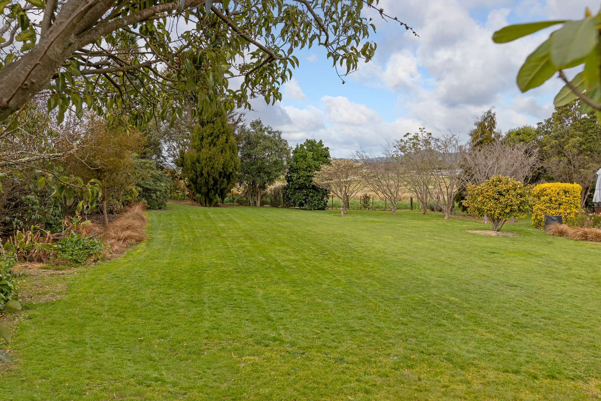 5 Ngaio Place Lansdowne_0