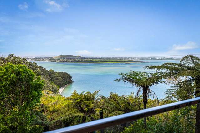 2 Waikowhai Road Hillsborough_1