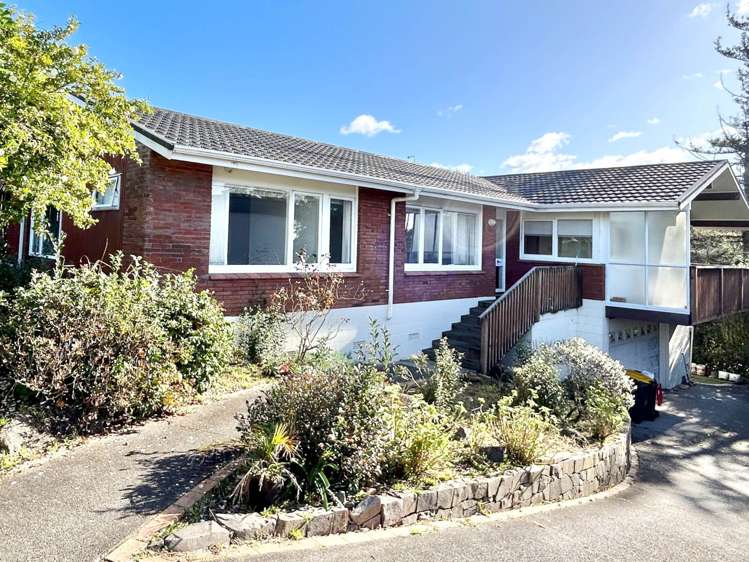 20 Castleton Drive Howick_0