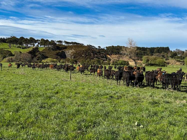 141 Mataura Island Titiroa Road Mataura Island_8