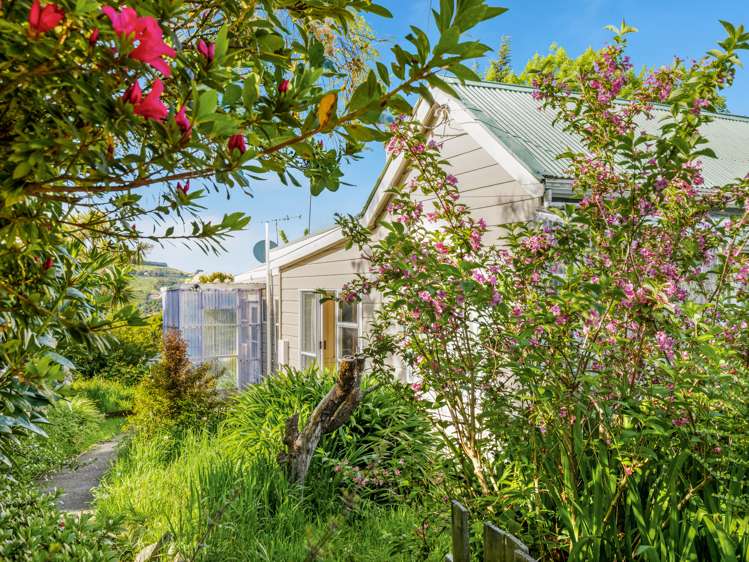 18 Matai Street Ravensbourne_21
