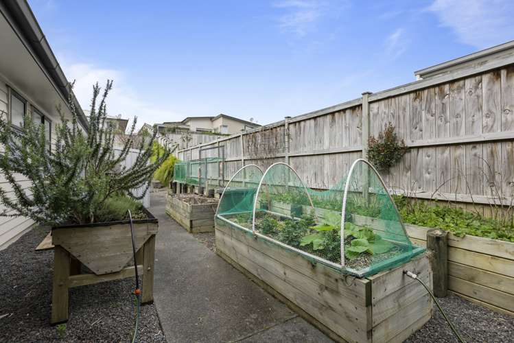 19 Kibblewhite Avenue Beachlands_37