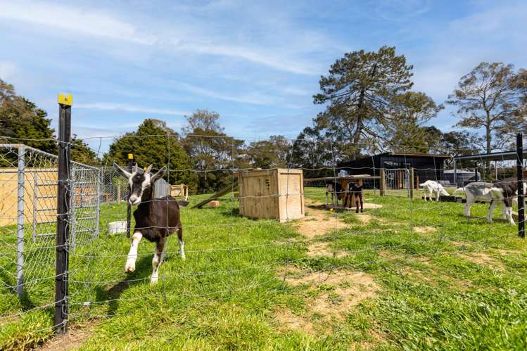 14c Darby Road Arapuni_7