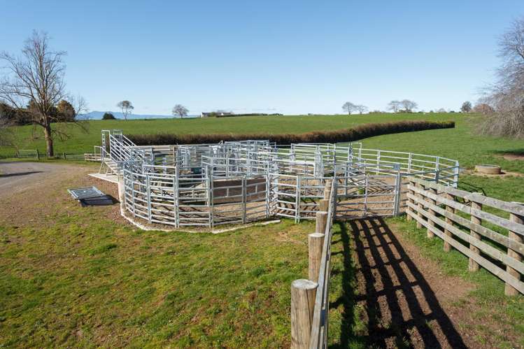 97 Herbert Road Morrinsville_26