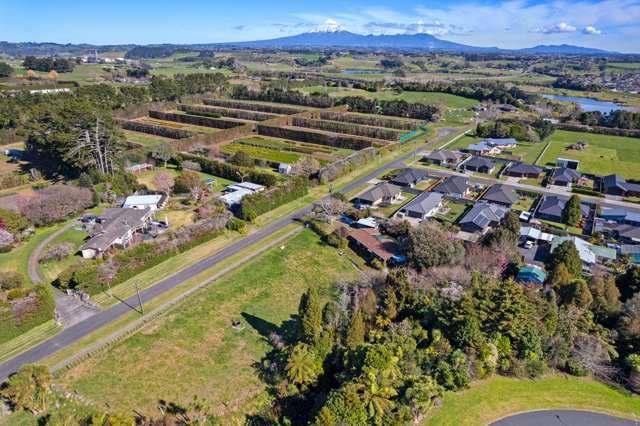 Home Comfort Meets Development Potential