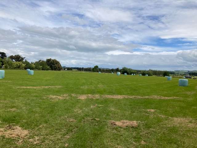 451 and 453 Whiterig Road Knapdale_2