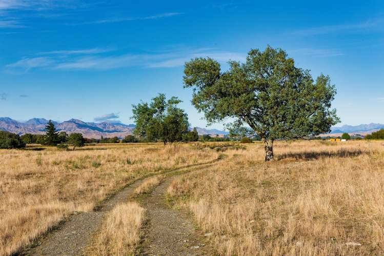 167 Hammerichs Road Rapaura_3