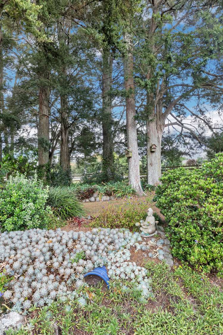 1220 Pipiwai Road Ruatangata_31