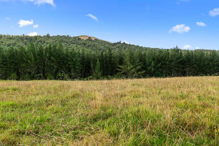 Waterworks Road Te Miro_9