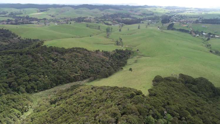 807 Puketona Road Haruru_9