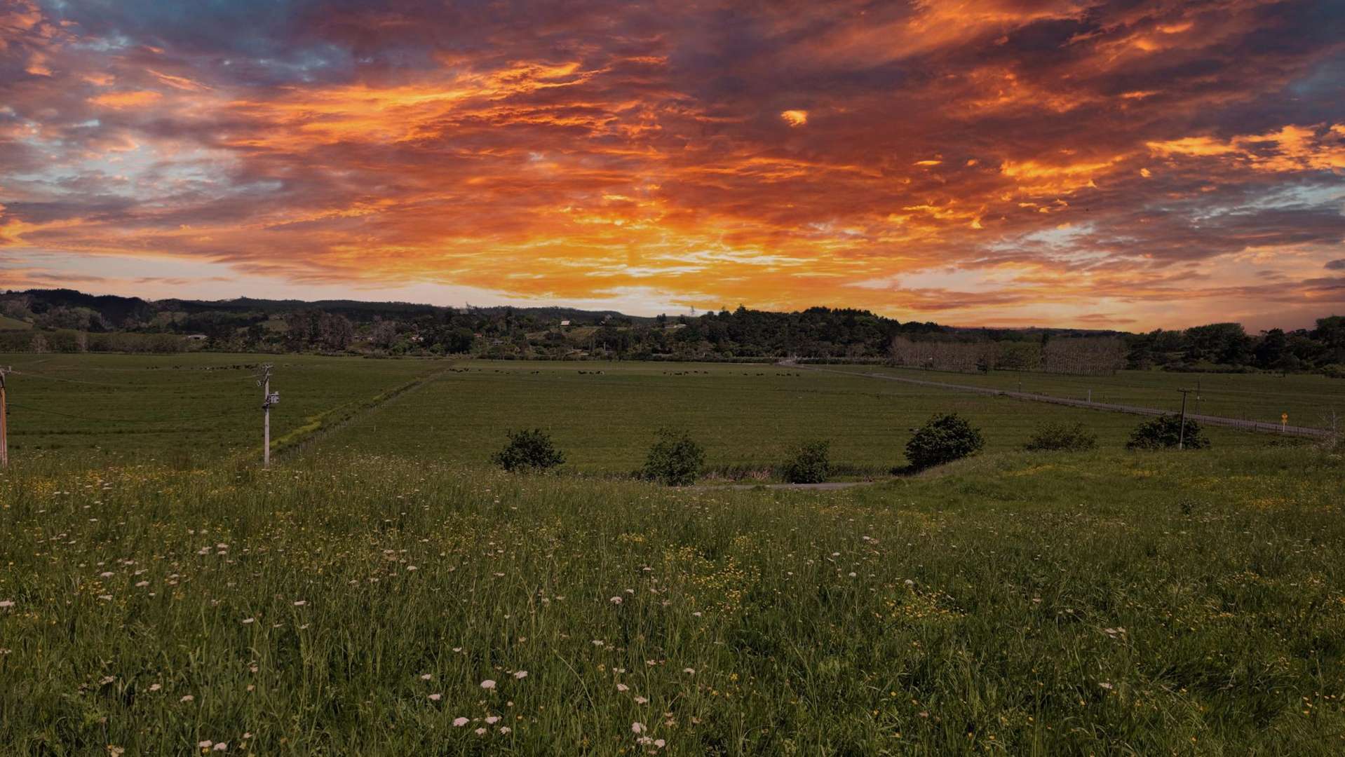 11 Davidson Road Waimauku_0