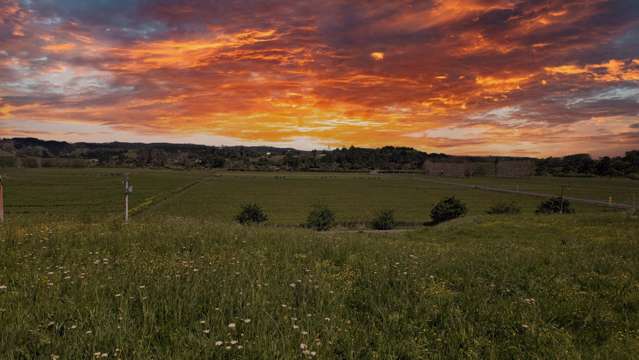 A Hectare of Happiness in Waimauku