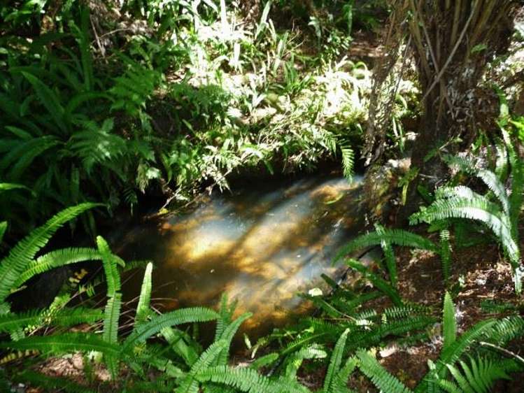 260 State Highway 10 Cable Bay_59