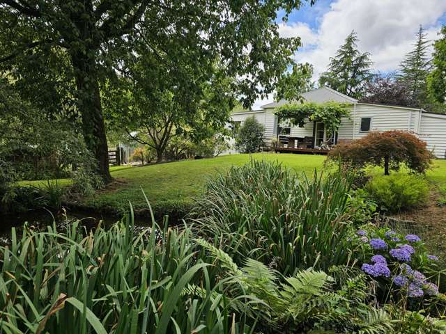 869 Junction Road Inglewood_2