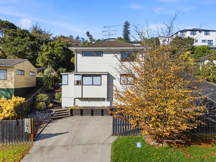 85 Oaktree Avenue Browns Bay_3