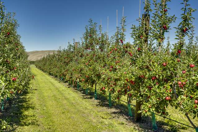 5 West Road Havelock North_1