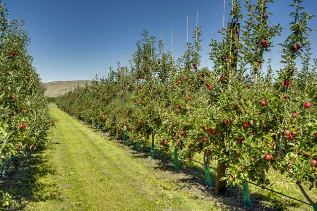 5 West Road Havelock North_2