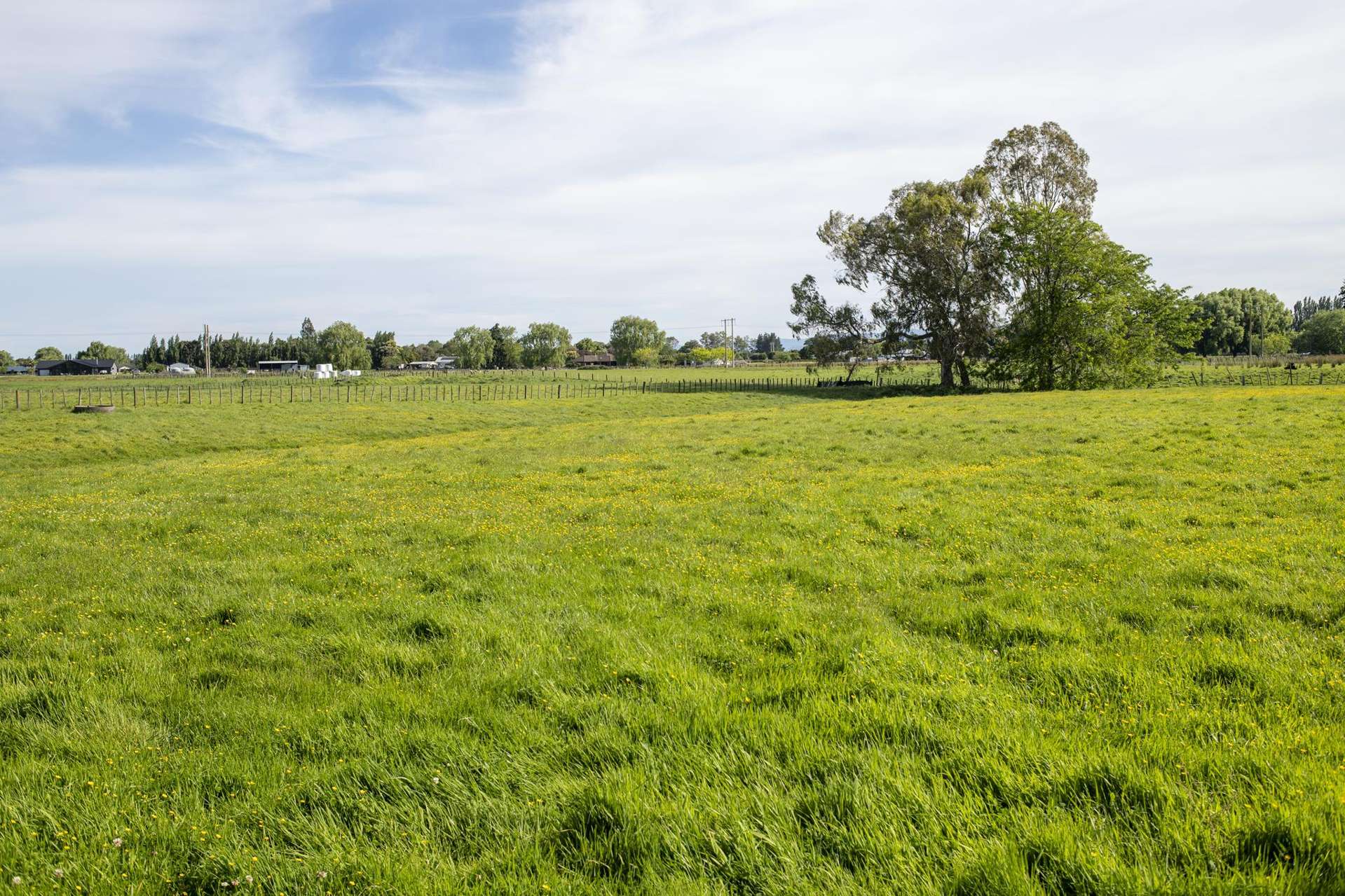Haisman Road Makauri_0