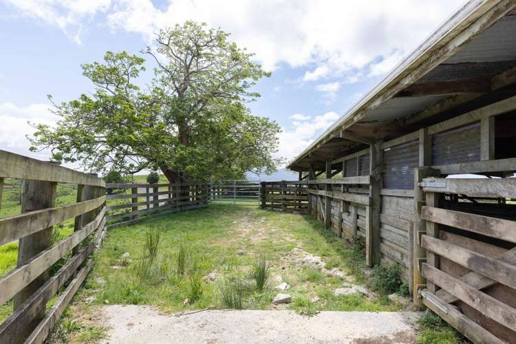 282 Girls High School Road Pukehuia_15