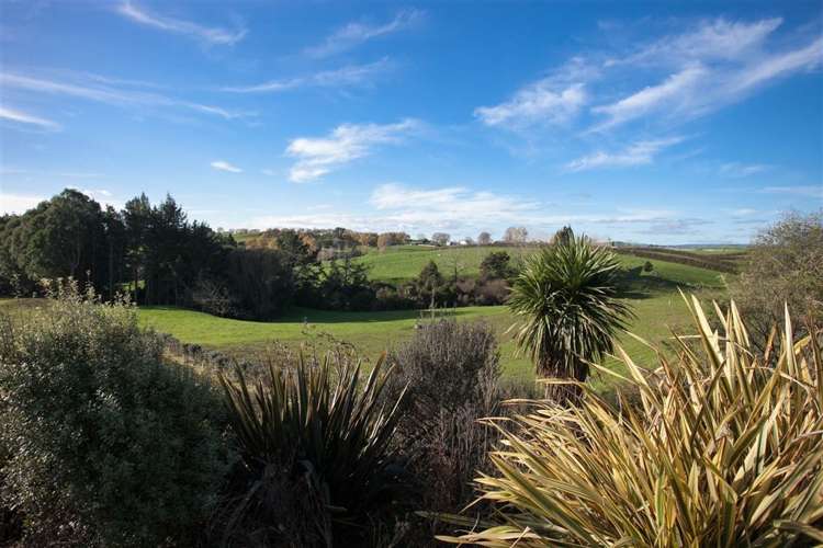 1967 Maungatautari Road Cambridge_6