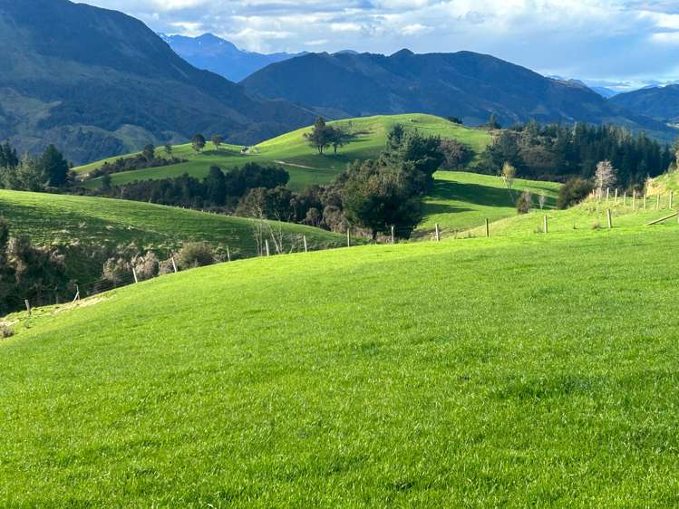 557 Tadmor-Bushend Road Tapawera_8