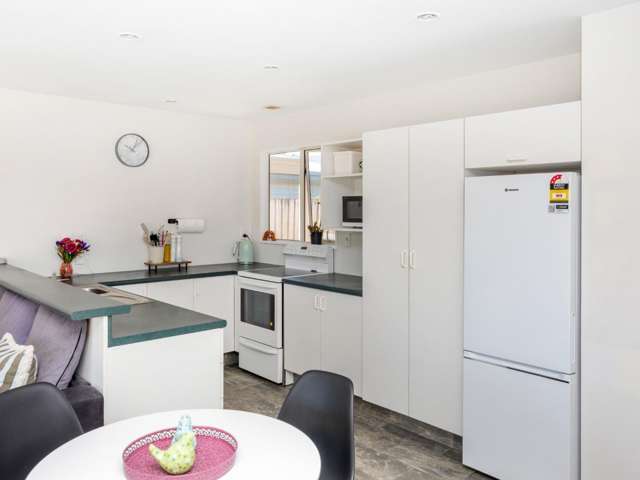 14 Millar Street Sydenham_1