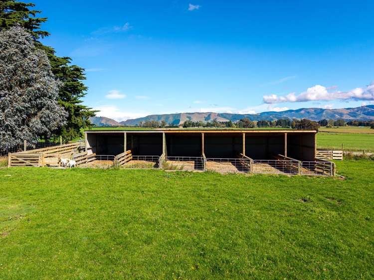 302 Timaru Road Waimate_22