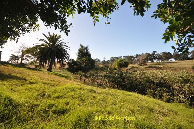 32 Sandy Beach Road Tinopai_25