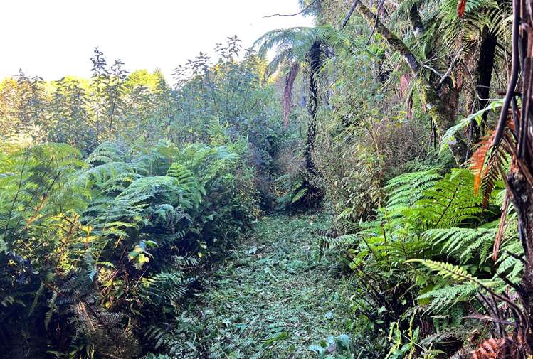 754 Rutherglen Road Rutherglen_12