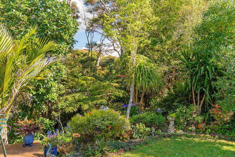 178 Buffalo Beach Road Whitianga_47