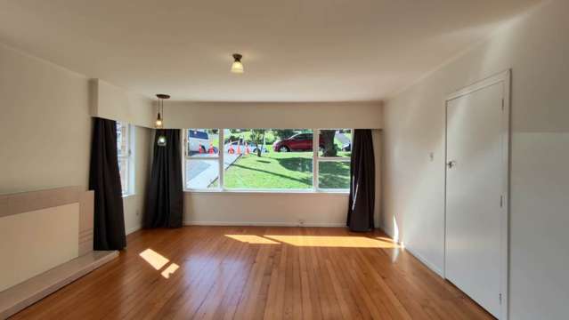 14 Subritzky Avenue Mt Roskill_3