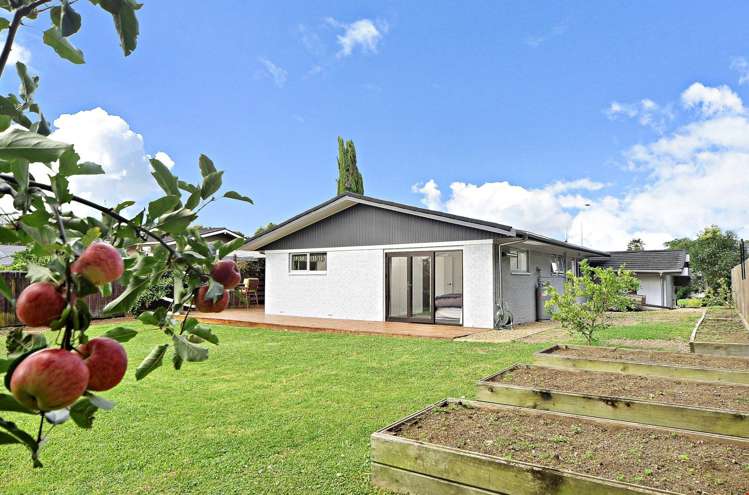 65 Elliot Street Pahurehure_15