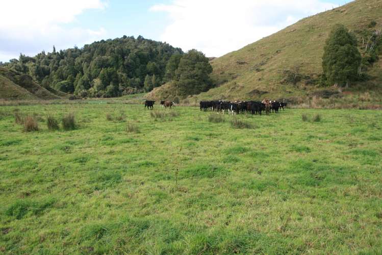 4869 Ohura Road Pohokura_33