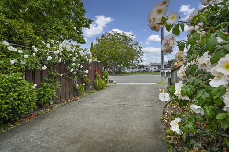 2/1214 Howard Street Parkvale_11