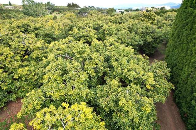 192 Woodland Road Katikati_4